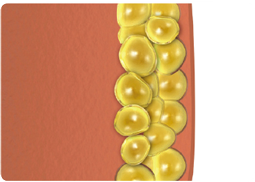 脂肪減少メカニズムのイメージ