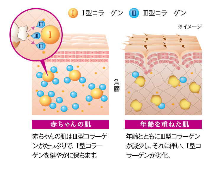 ベビーコラーゲン（ヒューマラジェン）