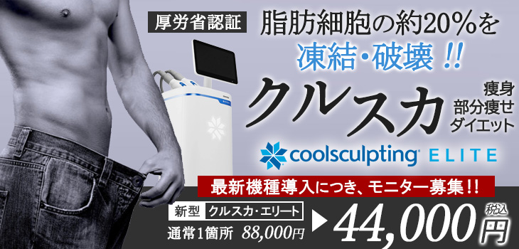 クールスカルプティング　エリート　キャンペーン