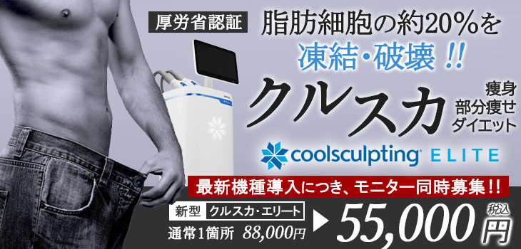 クールスカルプティング　エリート　キャンペーン